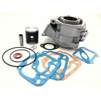 Kit Cylinder piston ROTAX MAX Senior 54mm 125 cc ITALKIT gaskets TOP END REBUILD